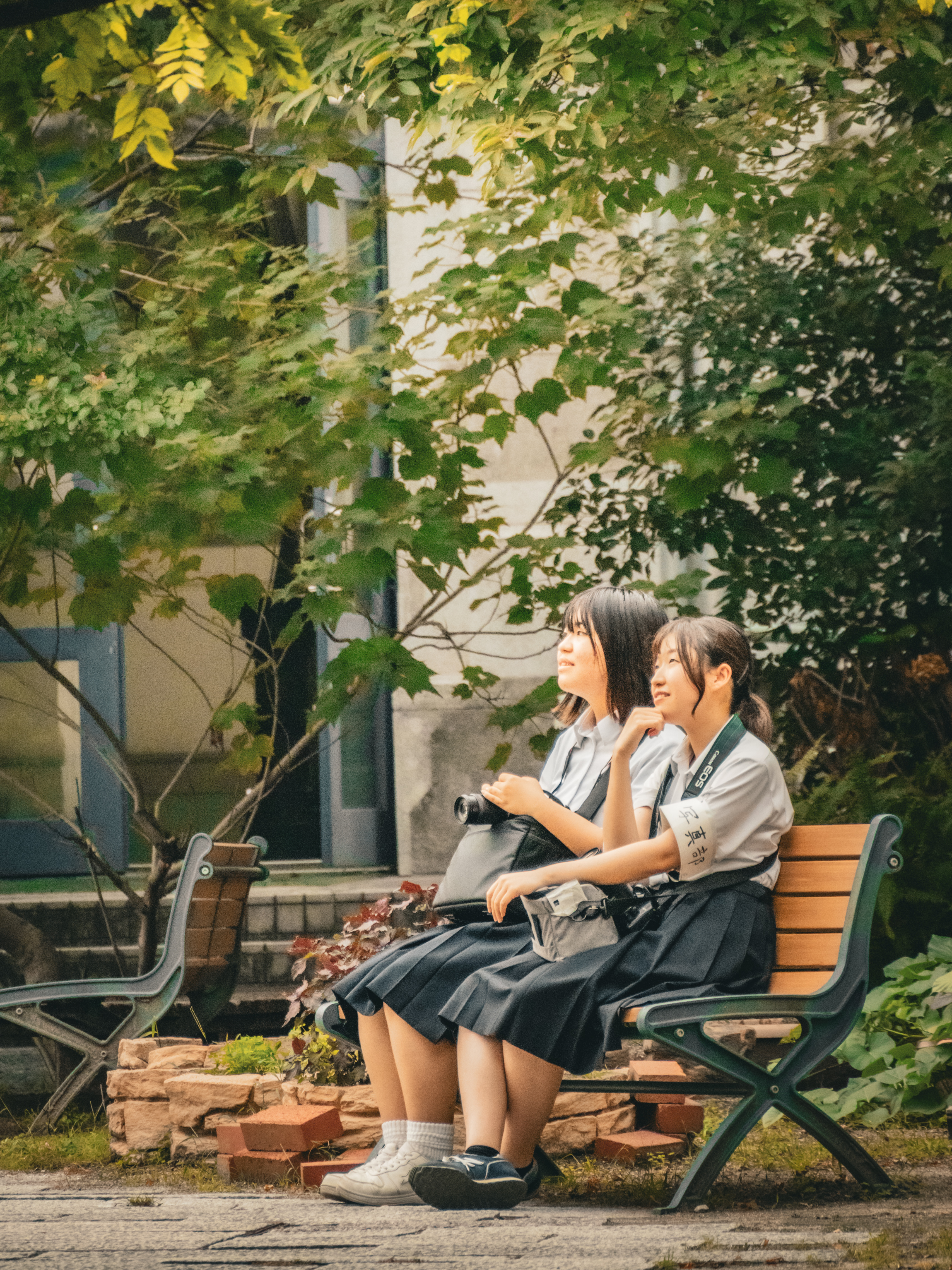 写真